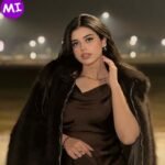 Alina Amir biography