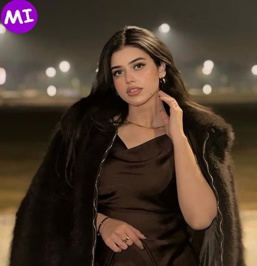 Alina Amir biography